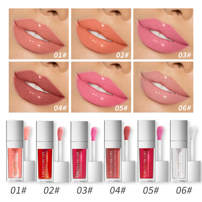 Aceite Labial Hidratante Efecto Gloss
